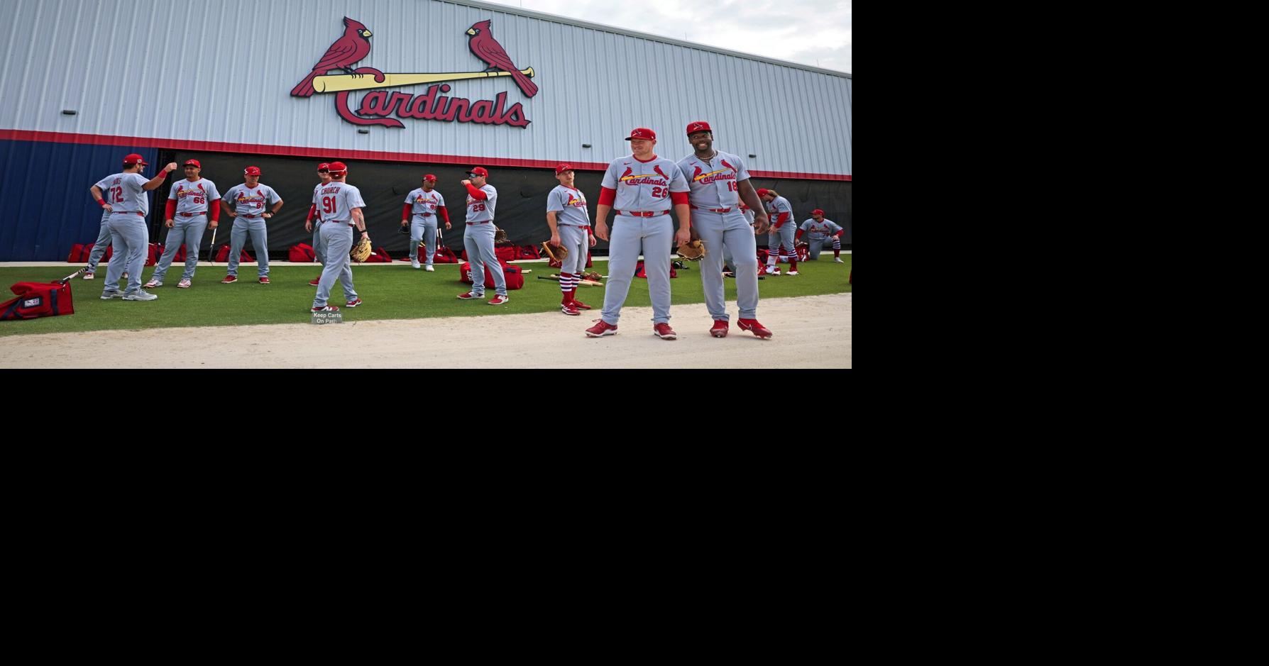 Spring scene offers look at Cardinals farm system changes and what ...