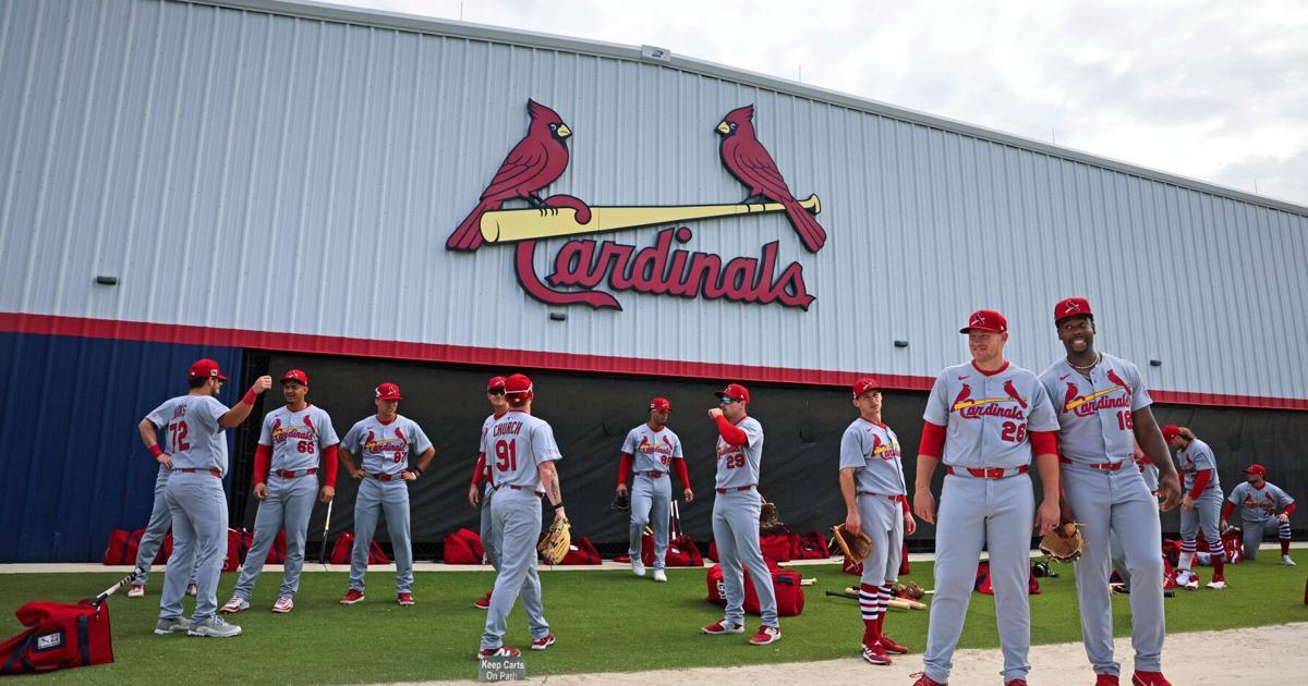 Spring scene offers look at Cardinals farm system changes and what ...