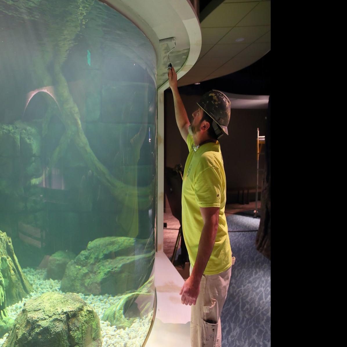 it s o fish al st louis aquarium will