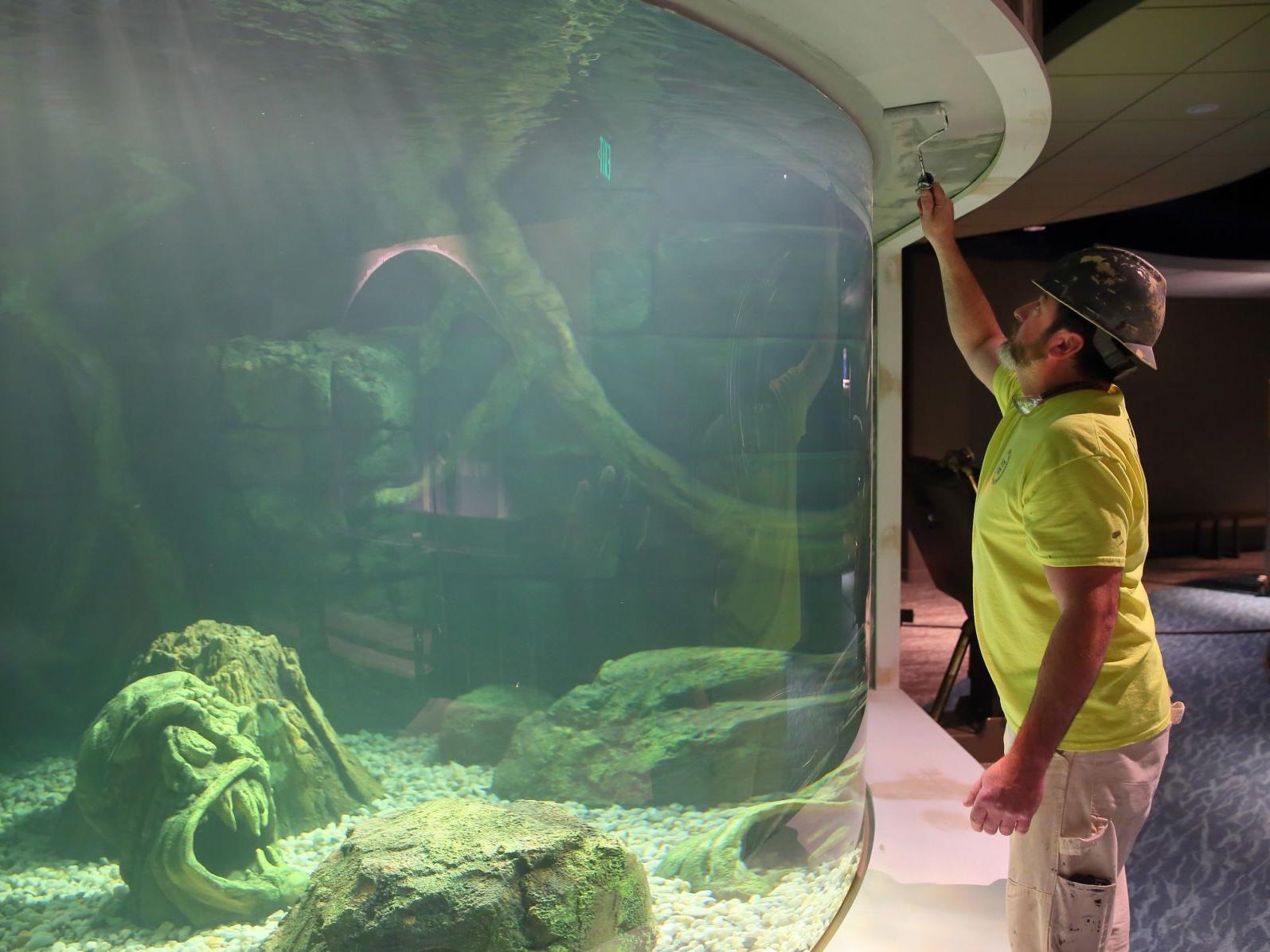 it s o fish al st louis aquarium will