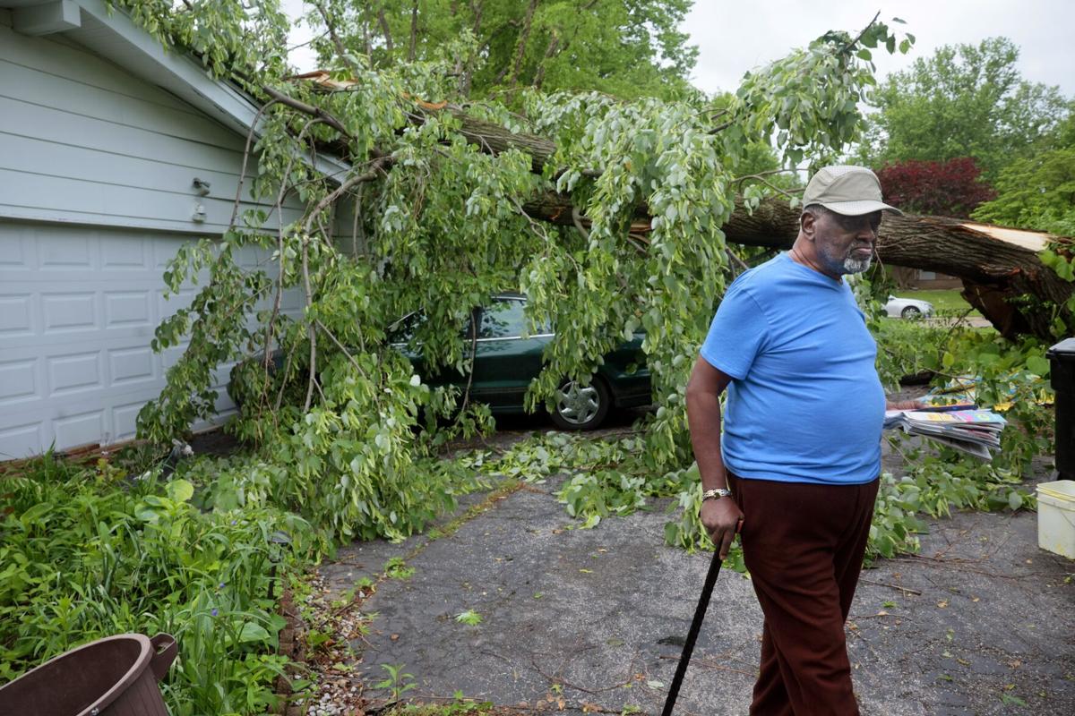 Storm leaves heavy damage, mostly from fallen trees in the area