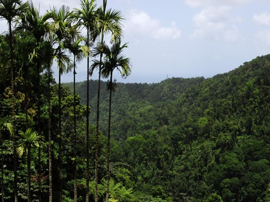 Empress Josephine S Humble Beginnings On Martinique Travel Stltoday Com
