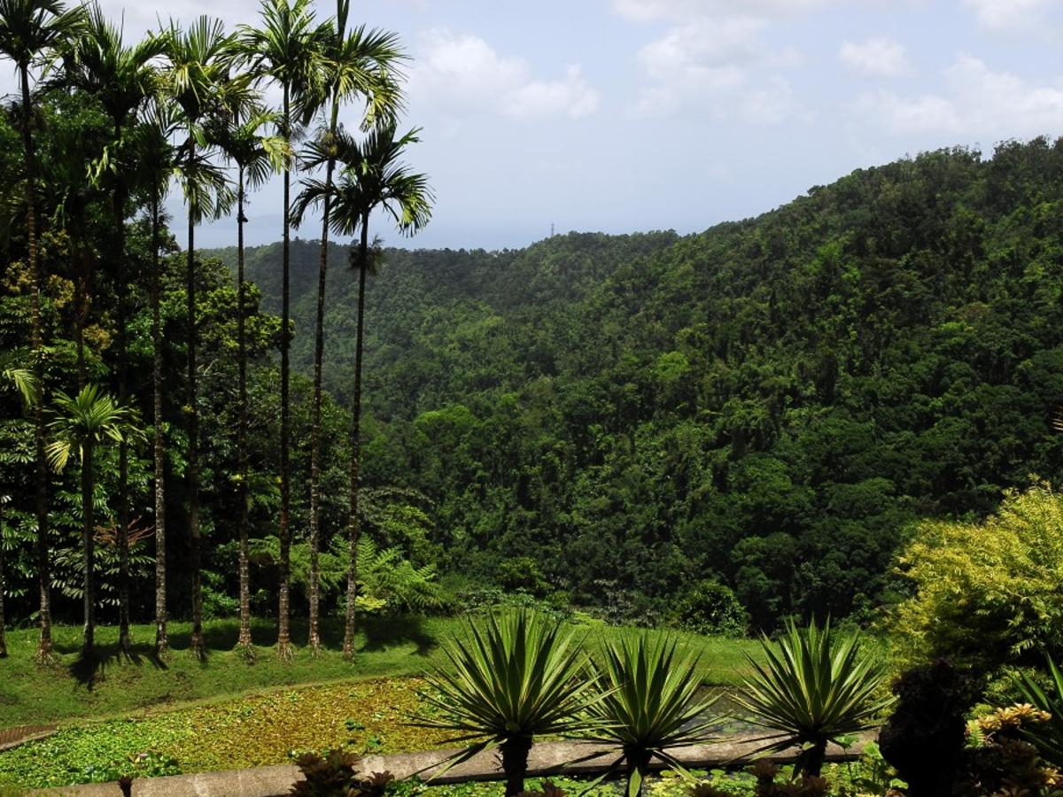 Empress Josephine S Humble Beginnings On Martinique Travel Stltoday Com Empress Josephine S Humble Beginnings On Martinique Travel Stltoday Com
