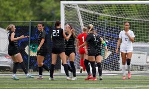 Class 4 District 3 girls soccer, quarterfinal: Fort Zumwalt West at Fort Zumwalt North