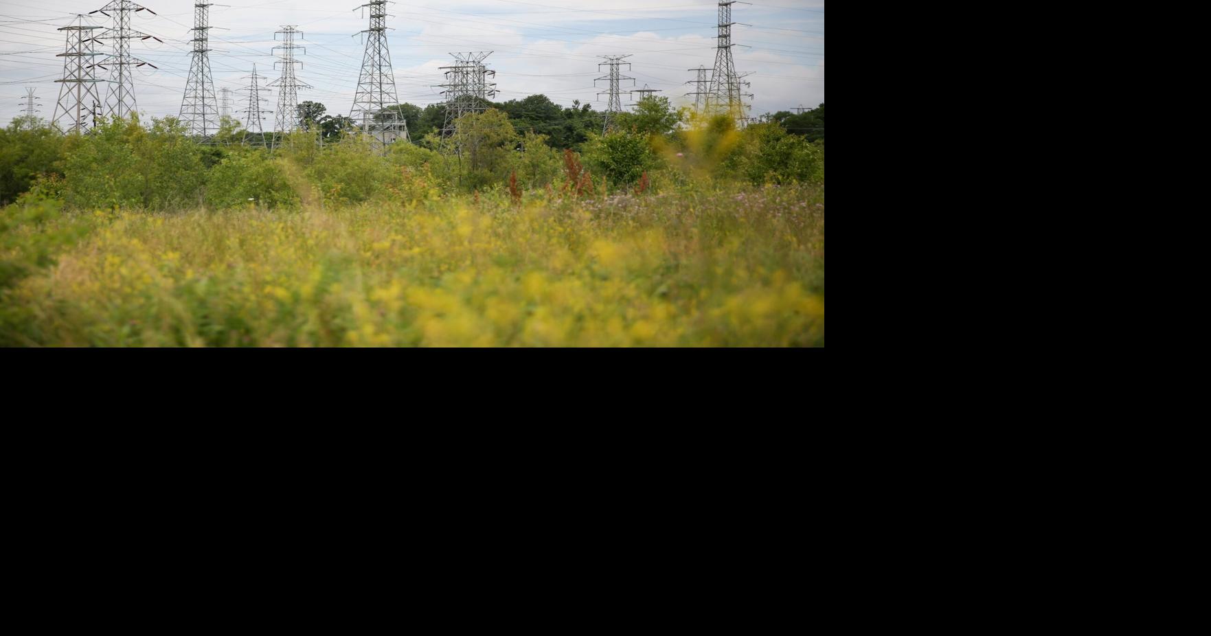 Tracking the news on Ameren rate hikes