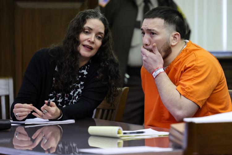 St. Peters man pleads guilty in death of 51 police officer David Lee