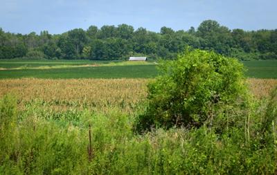 St. Charles residents remain skeptical of proposed mega data center