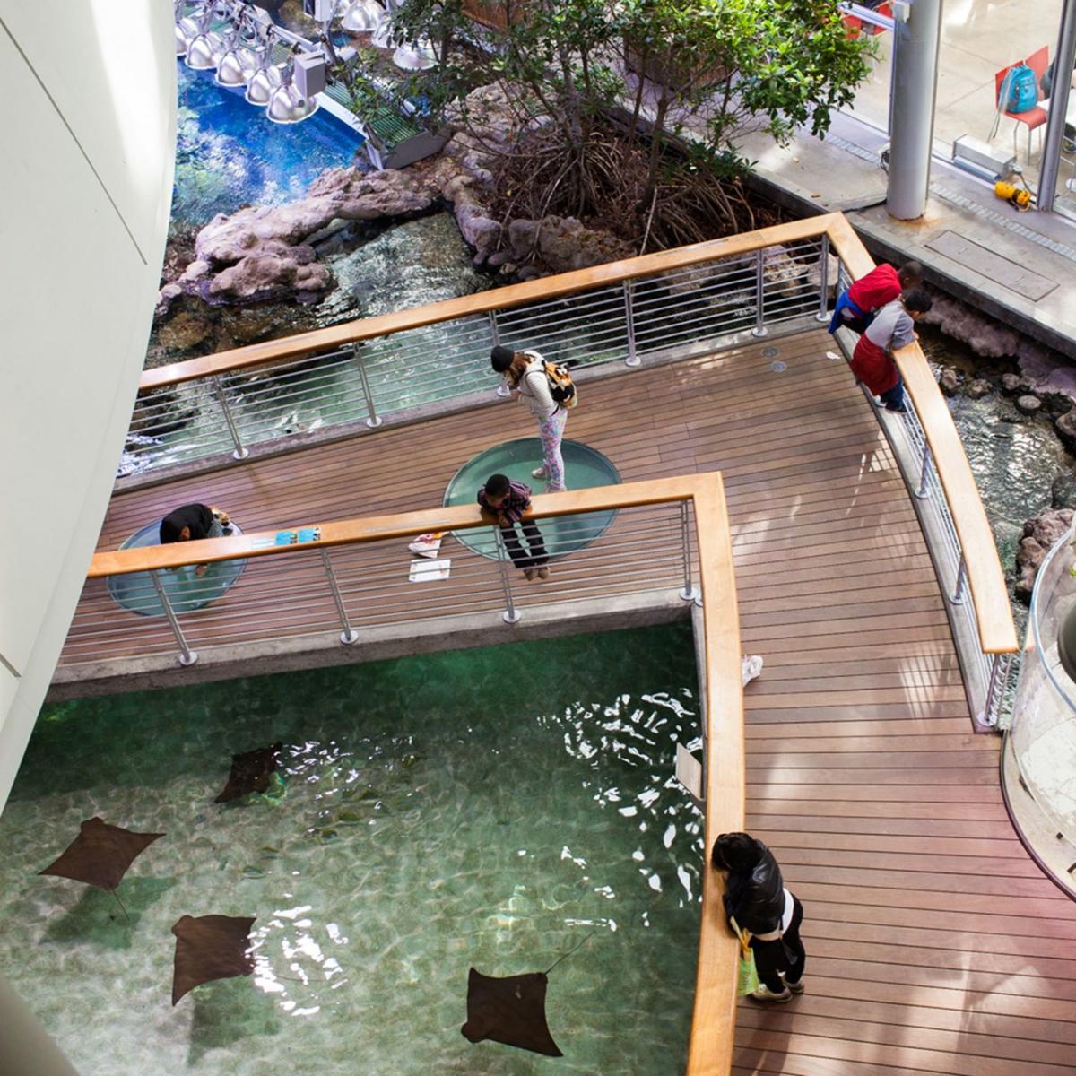 Aquariums of California offer glimpses into marine life Travel