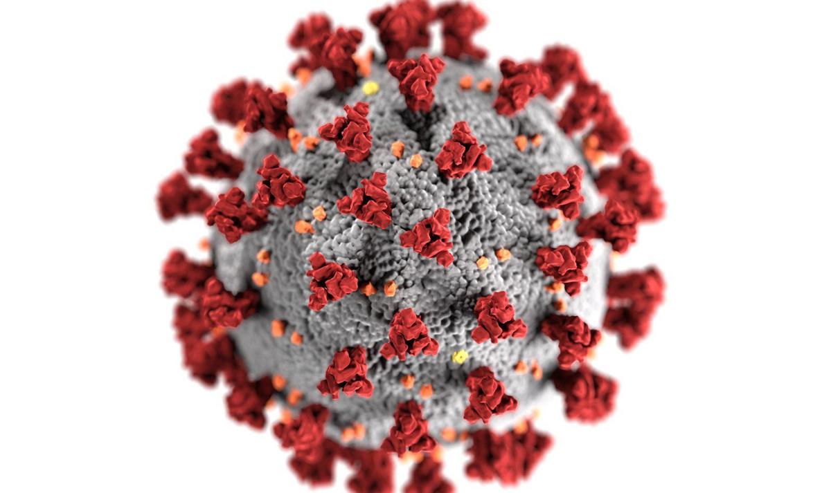 Lynelle Phillips Missouri Lawmakers Are Going After The Wrong Foe The Enemy Is The Coronavirus Guest Columnists Stltoday Com Lynelle Phillips Missouri Lawmakers Are Going After The Wrong Foe The Enemy Is The Coronavirus Guest Columnists Stltoday Com