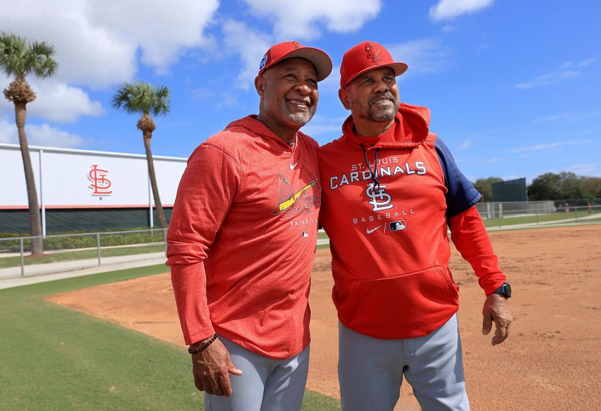 Mlb Cardinals Jacket 