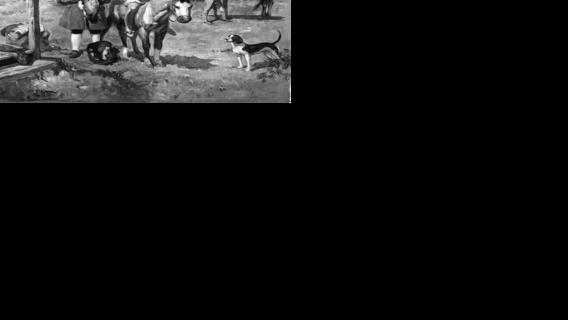 Fur trade establishes St. Louis, finances its growth: Revisiting St. Louis' history