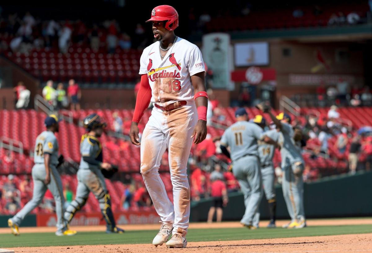 St. Louis Cardinals 2023 Projected Starting Lineup After Signing Willson  Contreras - Fastball