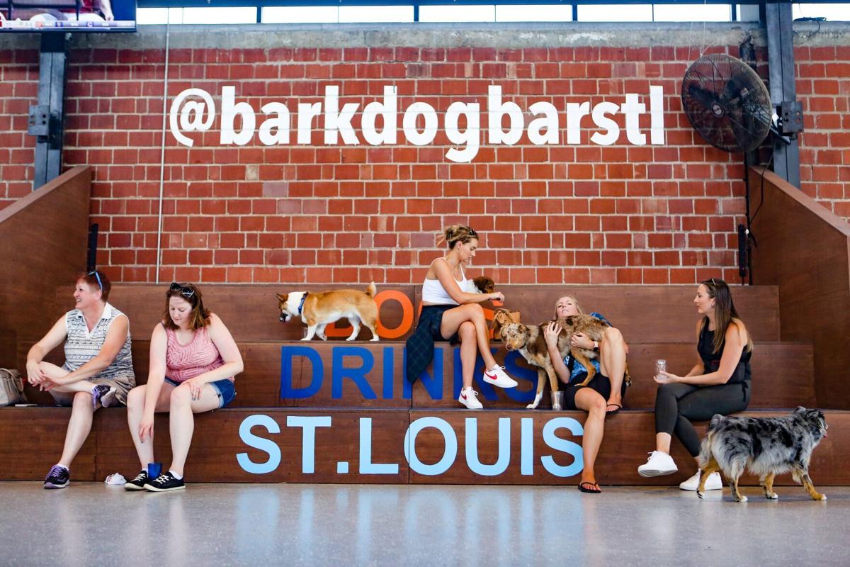 Bar K, a combination bar, restaurant and dog park, has something for everyone