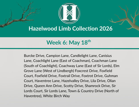 2026 Limb Collection - Week 6