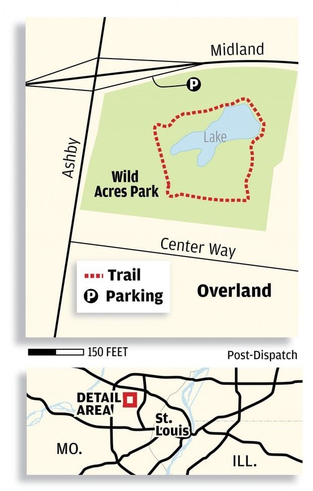 Wild Acres Park Trail Health