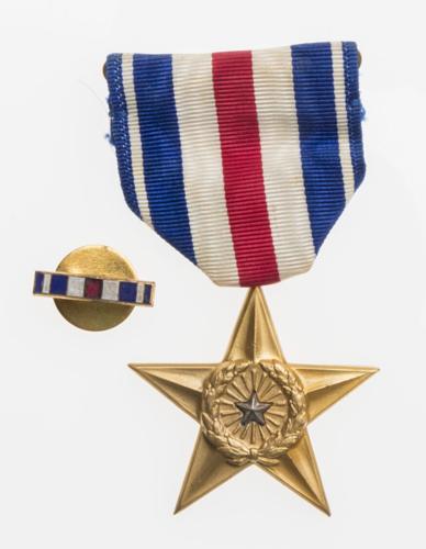 brown silver star.jpg
