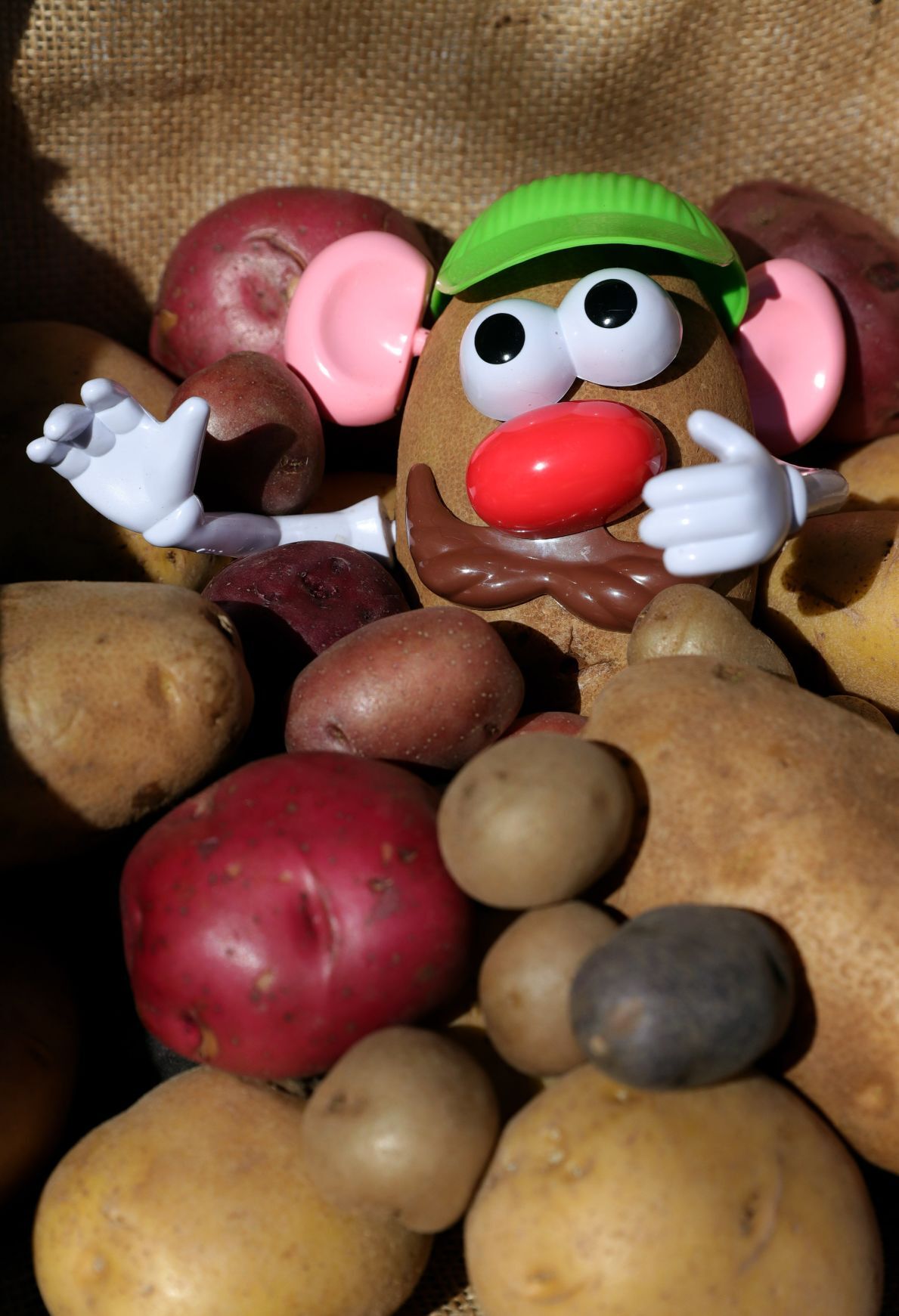 All Hail The Mighty Potato No Really Food And Cooking Stltoday Com