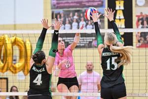 Oakville def. Mehlville 25-17, 25-19, 25-17