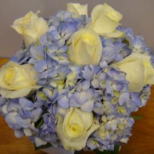 028_Walter Knoll Florist