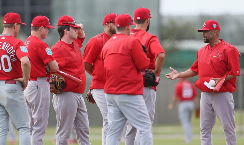 The playoffs are making it clear that the Cardinals underutilized