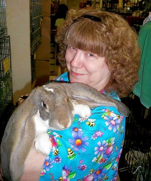 South County Woman Leads House Rabbit Society A Bunny Rescue Adoption And Education Group