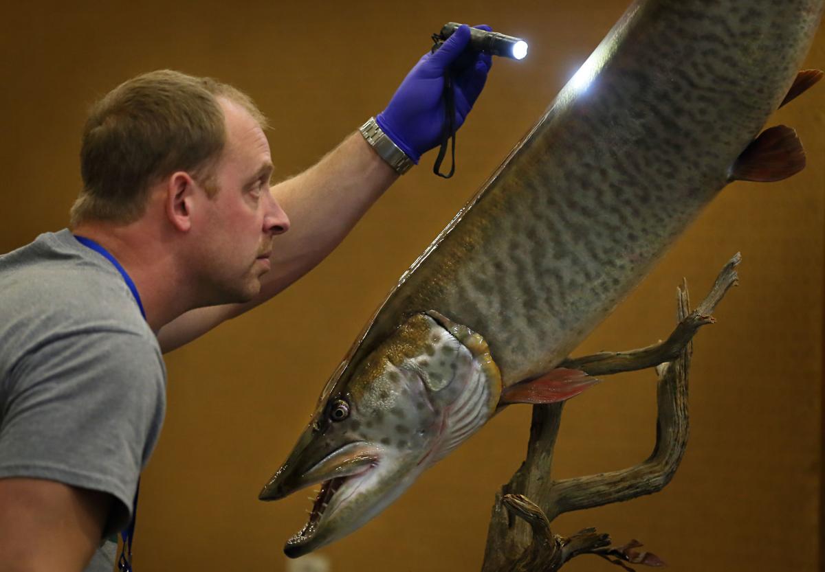 2019 World Taxidermy & Fish Carving Championships in Springfield, Mo.