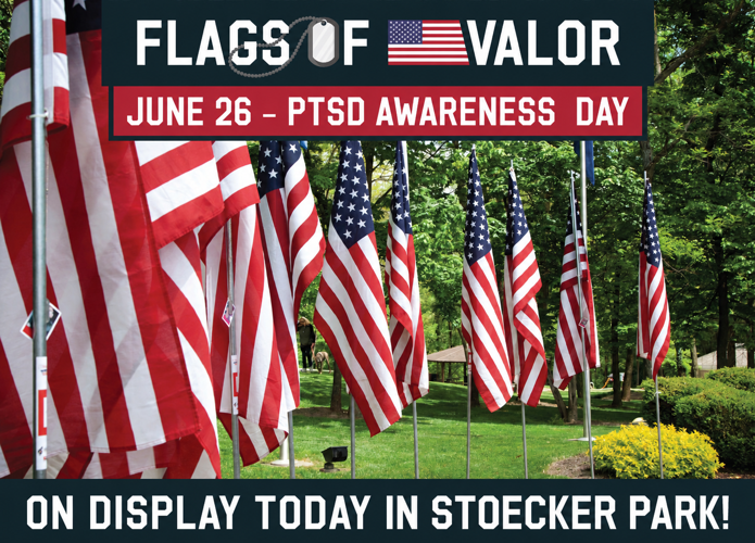 Flags of Valor Display at Stoecker Park Recognizes PTSD Awareness Day