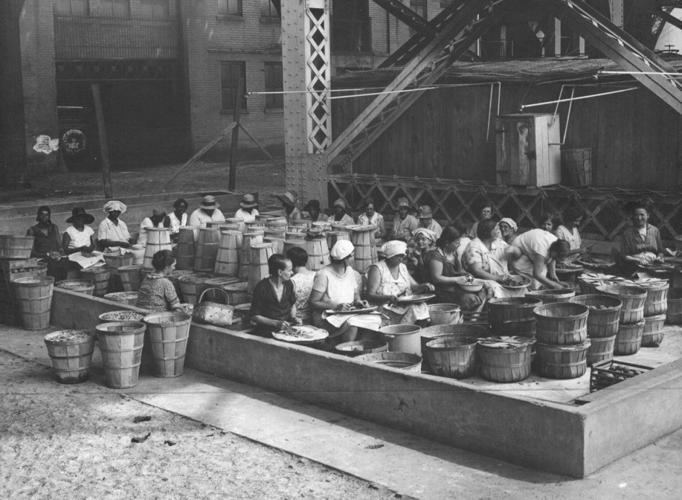 Preparing food for Hooverville, 1931