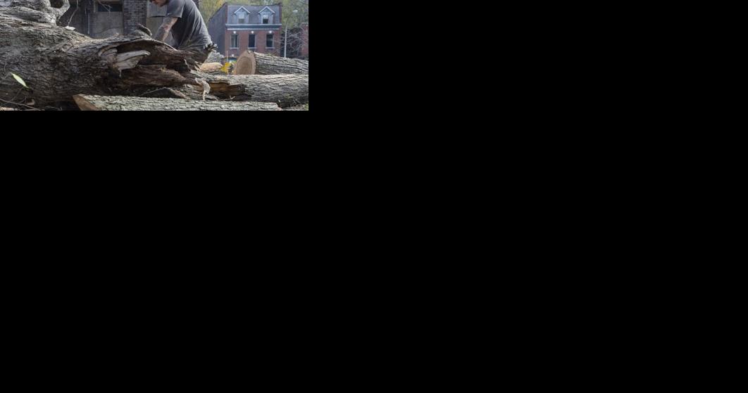 Volunteers clean near water tower in North St. Louis - Vimarsana News