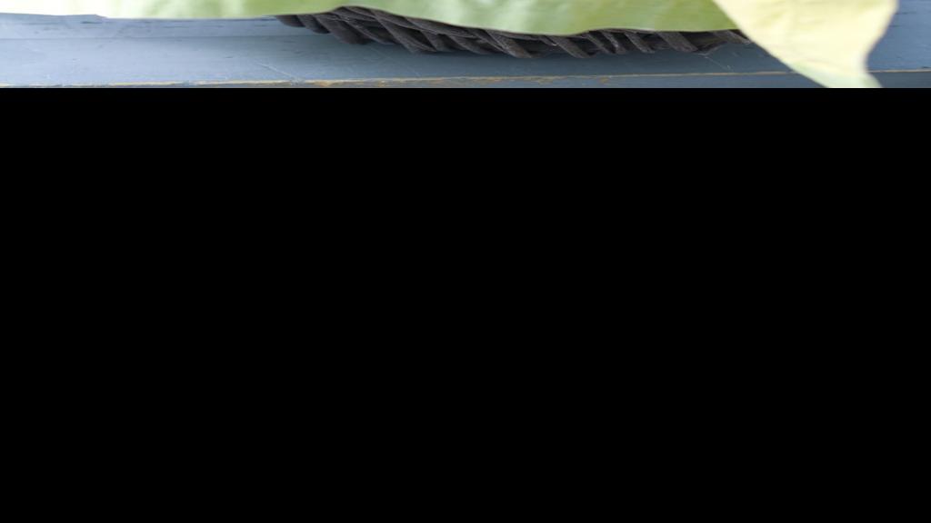 Applesauce Bran Muffins Recipes