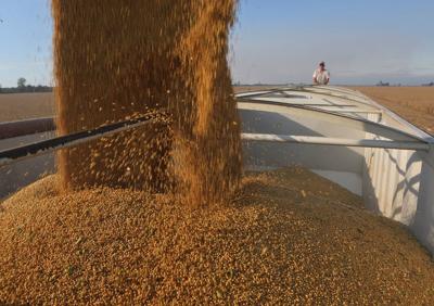 Farmers on Both Sides of Dicamba Herbicide Issue
