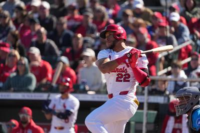 Marlins Cardinals Spring Baseball