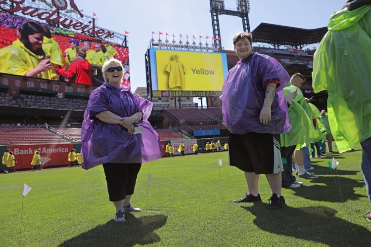 Alzheimer's Association sets Guinness World Record in Busch Stadium by forming the largest human image of a brain