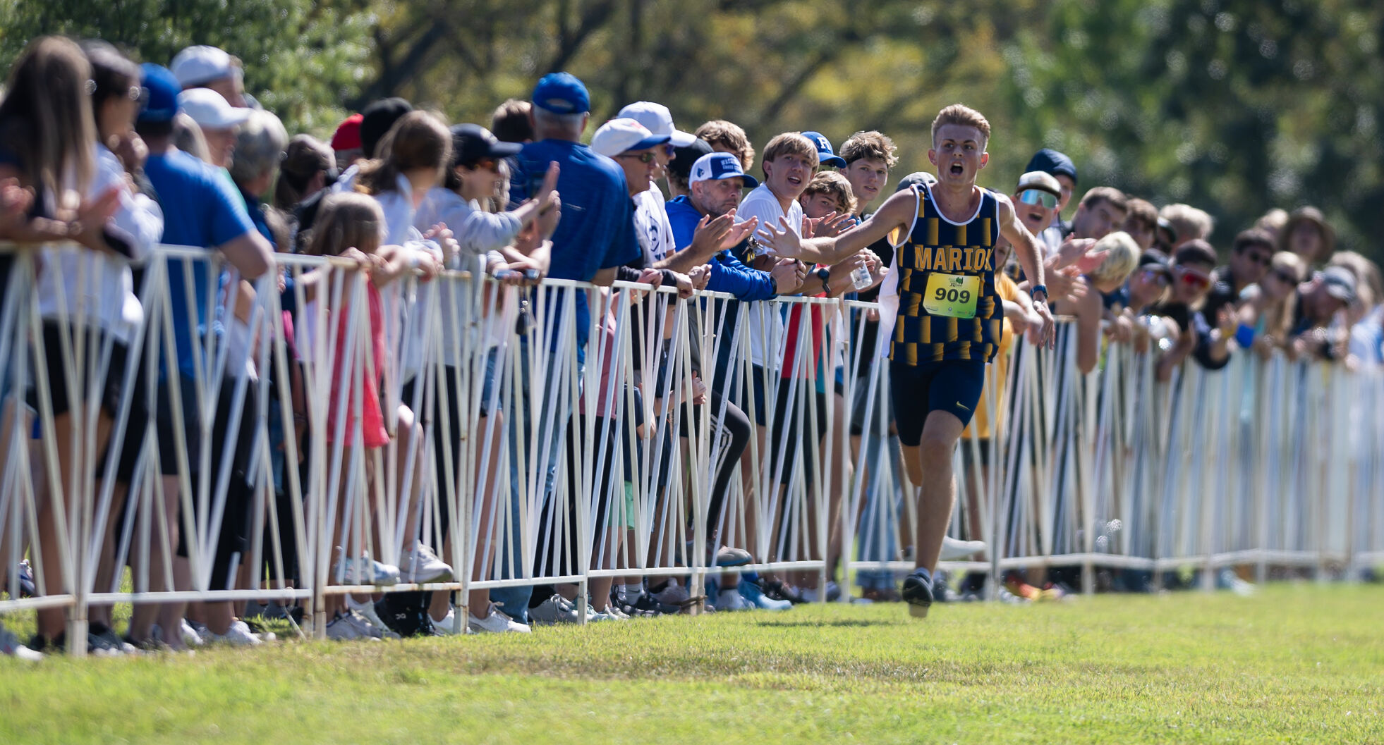 Scenes from the boys races at the Forest Park Cross Country Festival