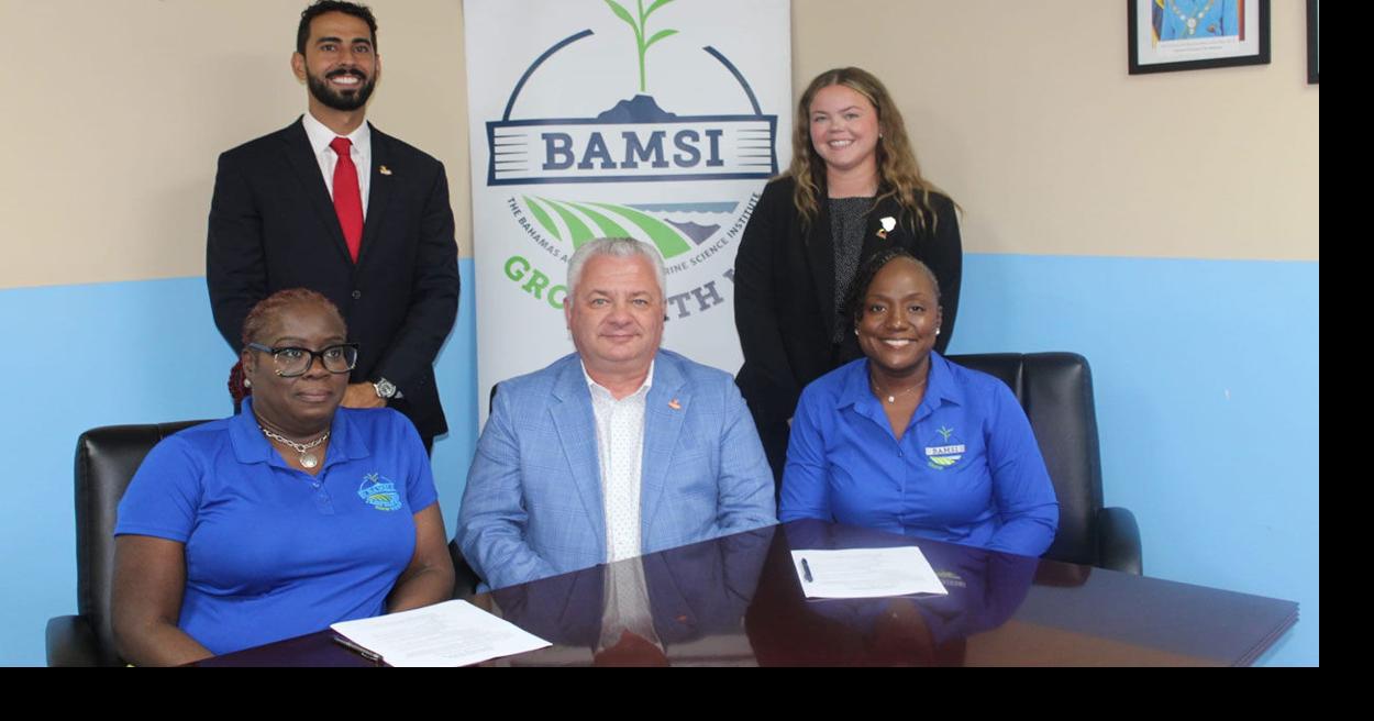 Umsl, bamsi expand business transfer pathway