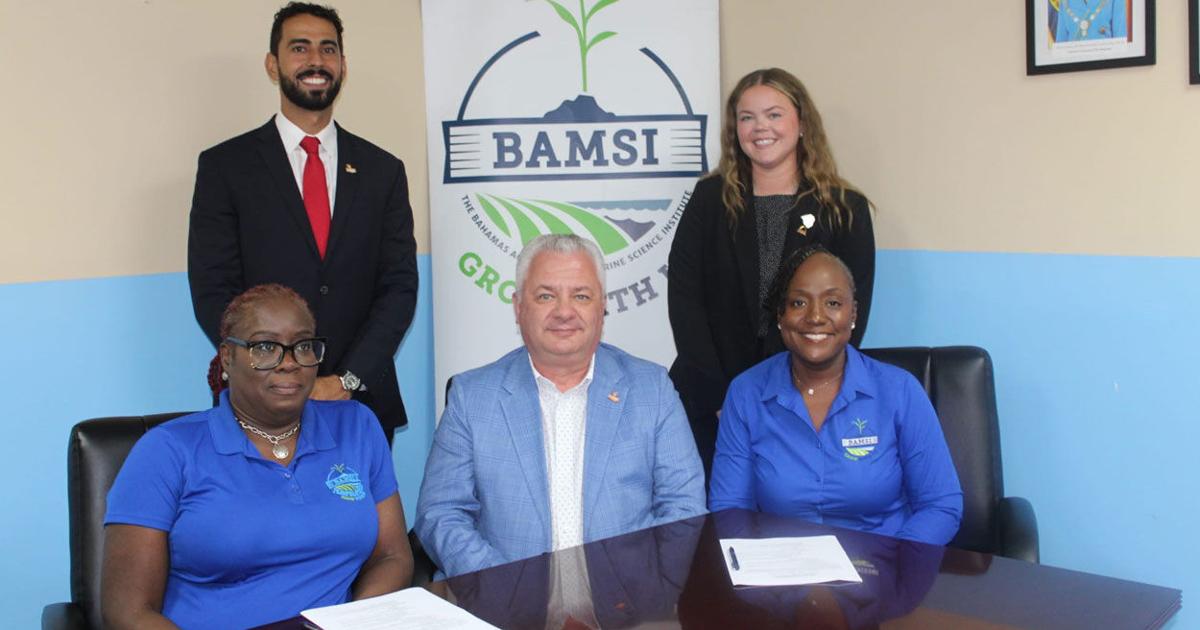 Umsl, bamsi expand business transfer pathway