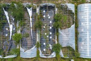 An abandoned marijuana grow sits in rural Holdenville in September. The property was sold at an auction, with its new owner, Pat Foor, left to clean up.