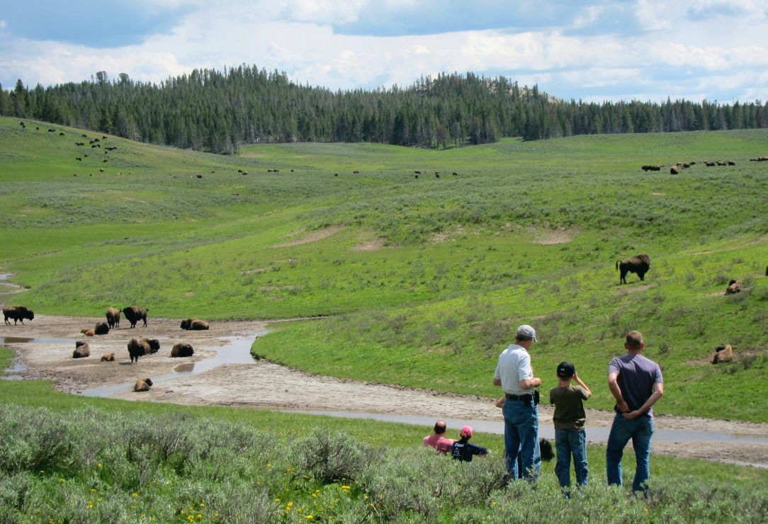 Sleeping (and eating) in Yellowstone National Park Travel