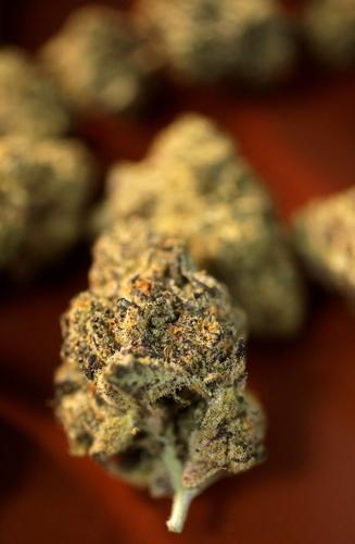 Cannabis