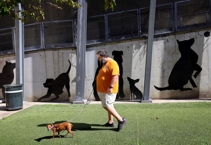 edt-downtownseries1-right-3-dogwalk