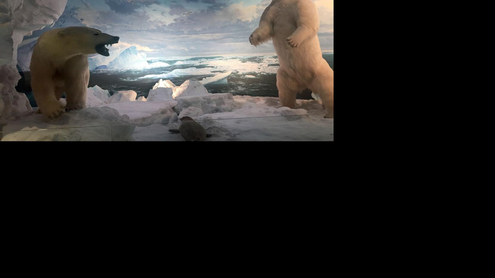 Wonders of Wildlife in Springfield, Mo., is named best new attraction