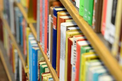 Library books on shelf