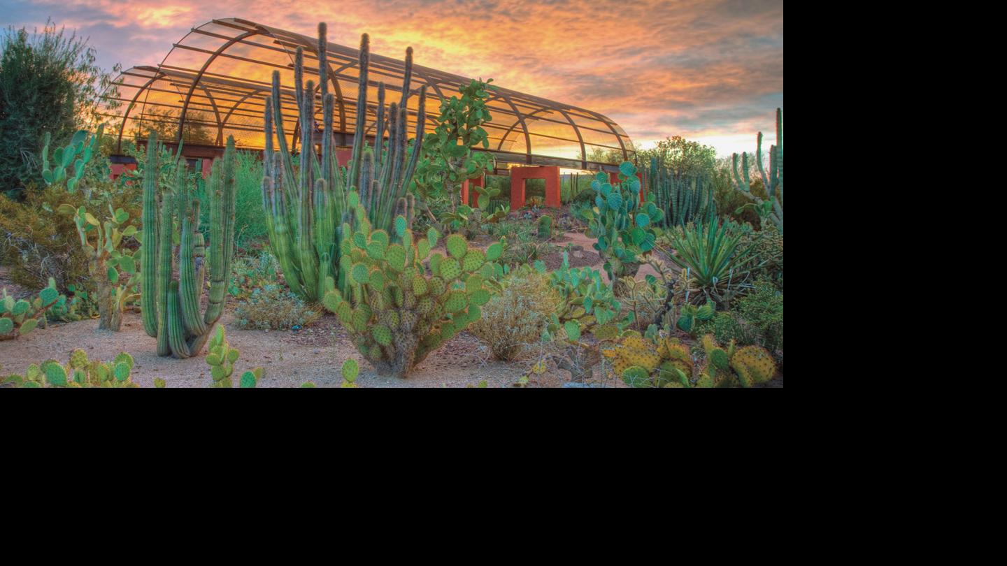 A Winter Oasis Escape To Scottsdale Ariz Travels With Amy