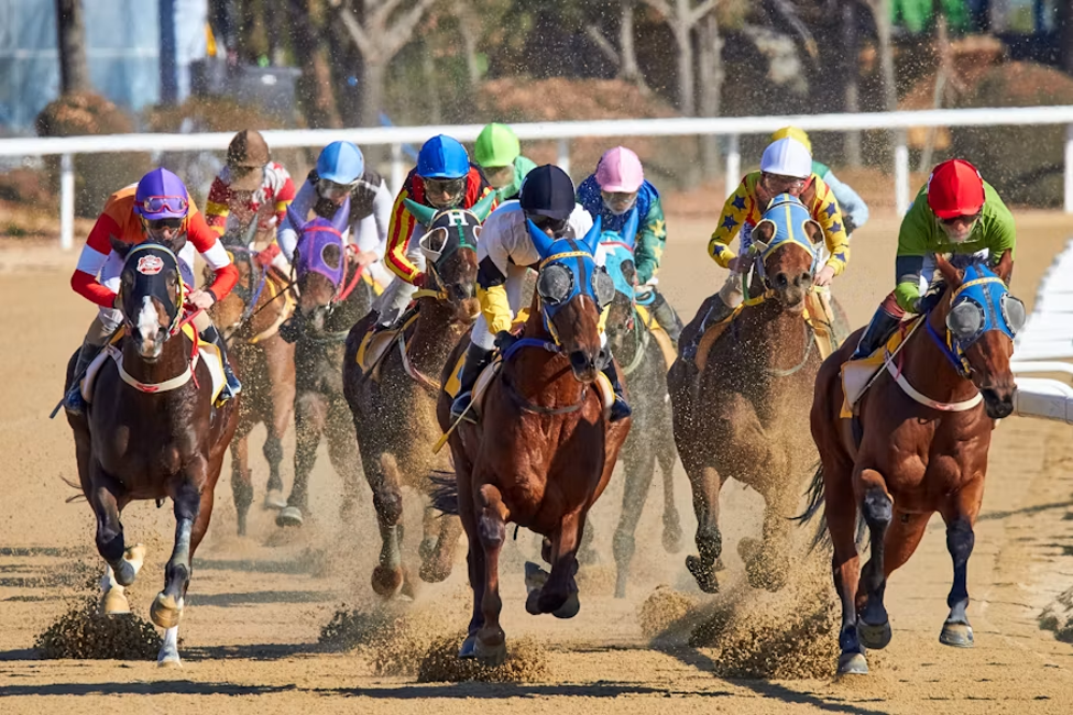 What to Know Before Watching the 2026 Breeders’ Cup