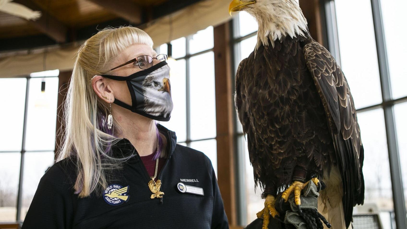 Photos: Annual Eagle Festival held virtually at Audubon Center at Riverlands