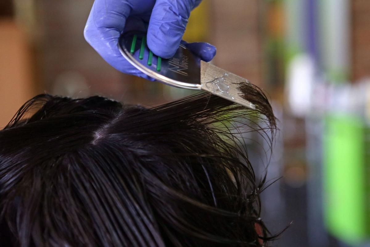 New super strain of lice puts area schools in scratchy situation