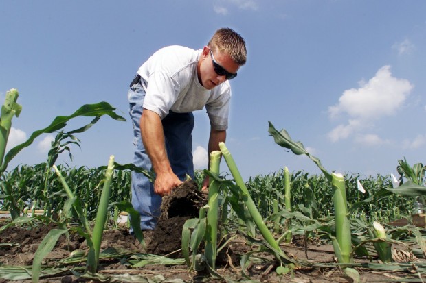 Monsanto spinoff will be final Aug. 13