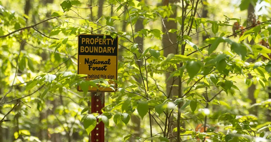 Judge orders federal logging project halted in Shawnee National Forest Hannah Meisel | Capitol News Illinois