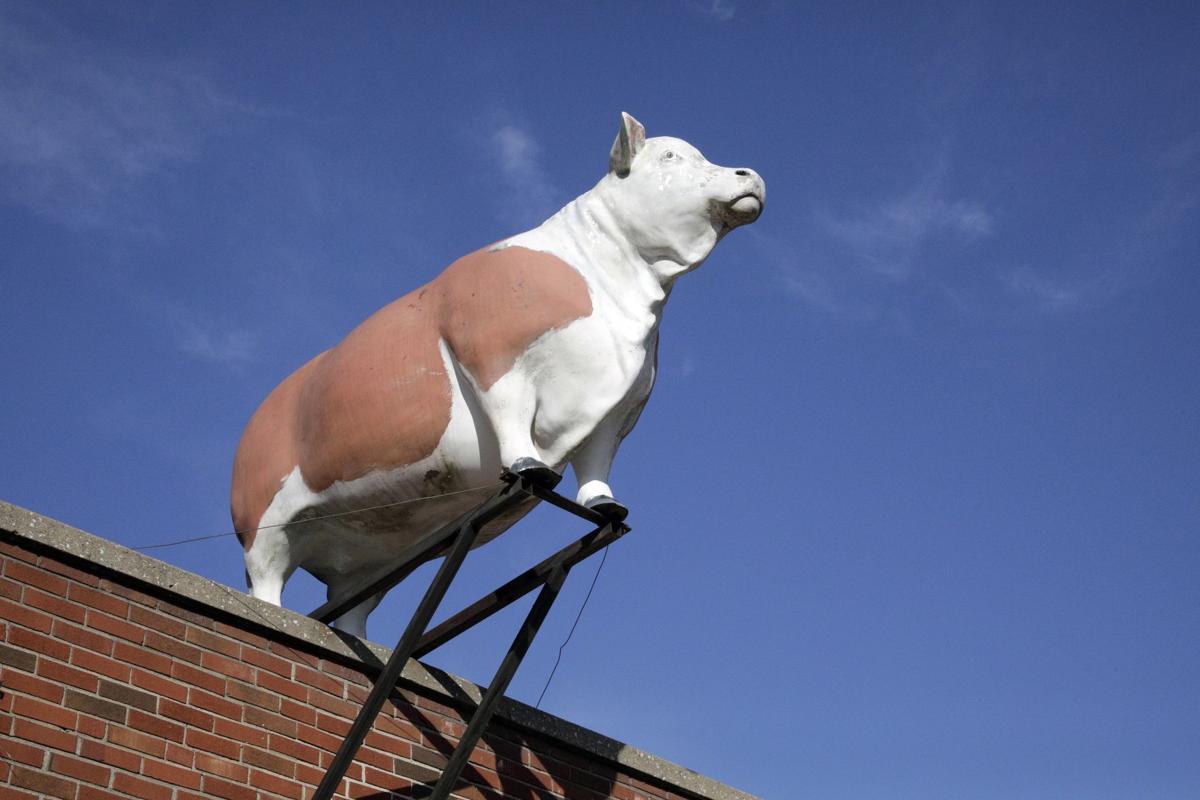 St Louis Scavenger Hunt Book Sends Readers In Search Of Hidden Treasures Books Stltoday Com