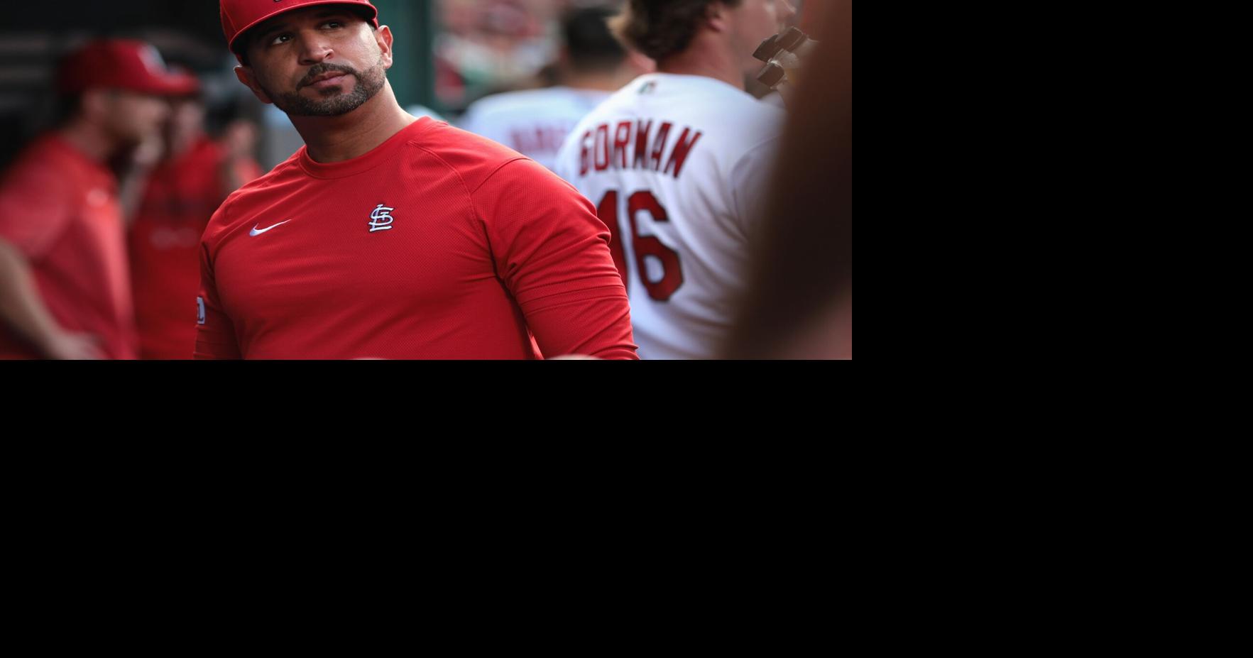 NTWRK - Nolan Arenado St Louis Cardinals Autographed Baseball - MLB COA